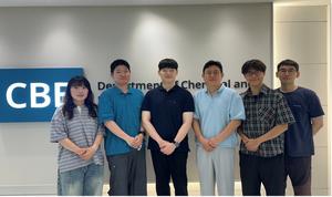 KAIST Develops Low-Temperature Technique for Growing Crystal-Aligned Semiconductor Films