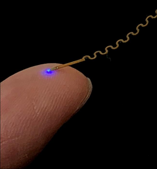 KAIST Uses Wireless Neural Chip to Track Brain Changes in Real Time After Alzheimer’s Drug Administration