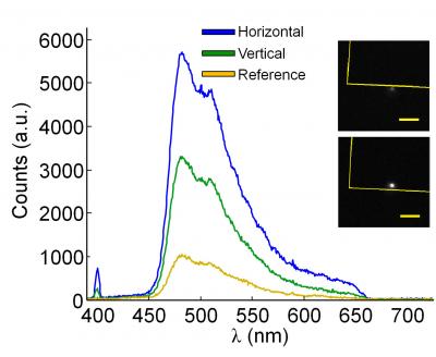 Spectra