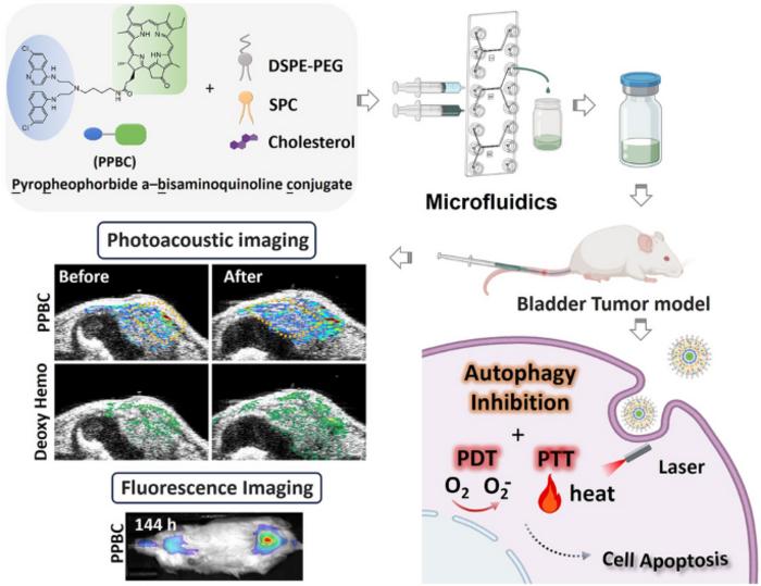 Multifunctional and Scalable Nanoparticles for Bimodal Image-Guided Phototherapy in Bladder Cancer Treatment