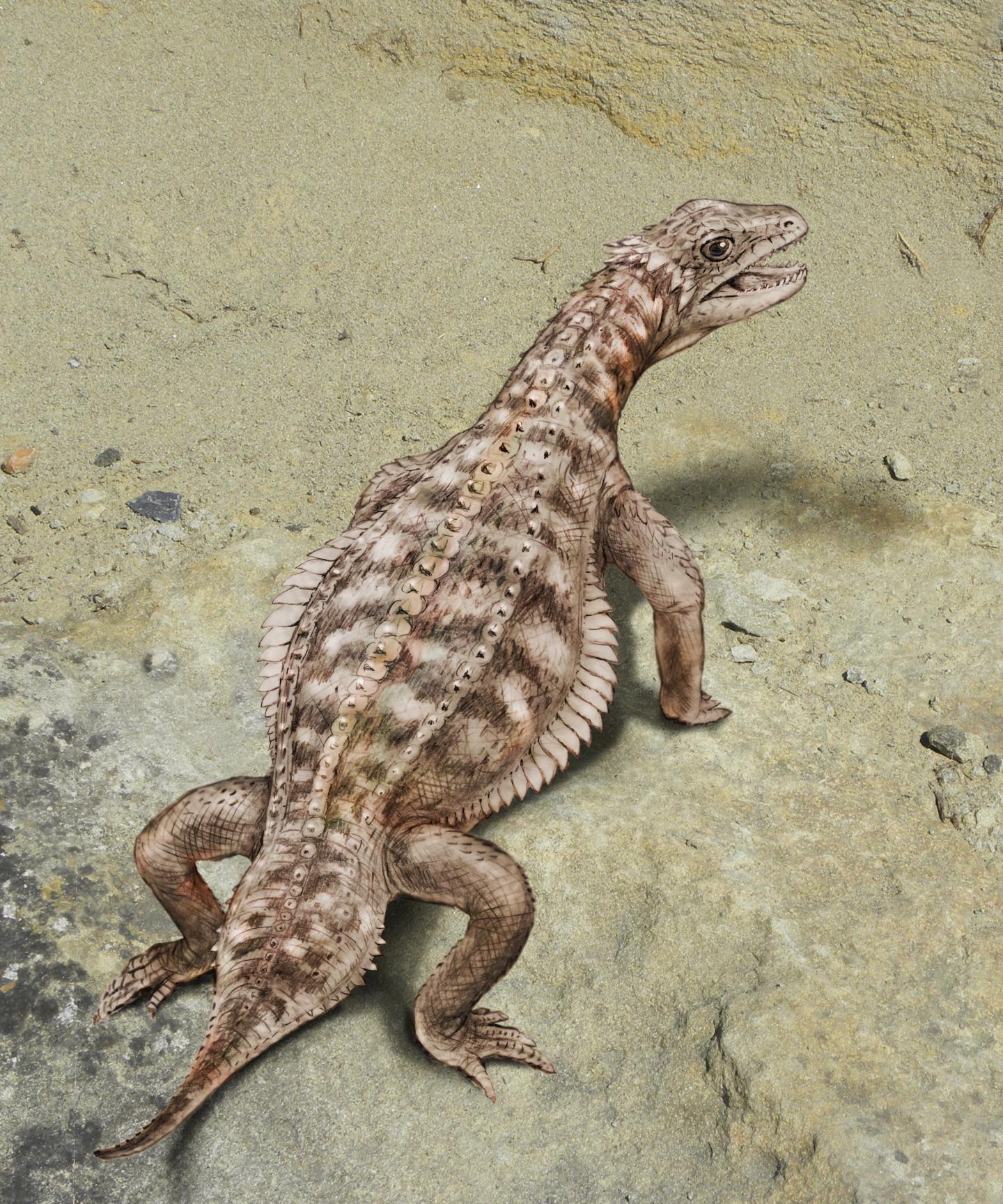 <i>Eusaurosphargis dalsassoi</i>