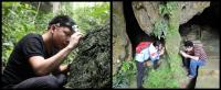 Collecting Land Snails
