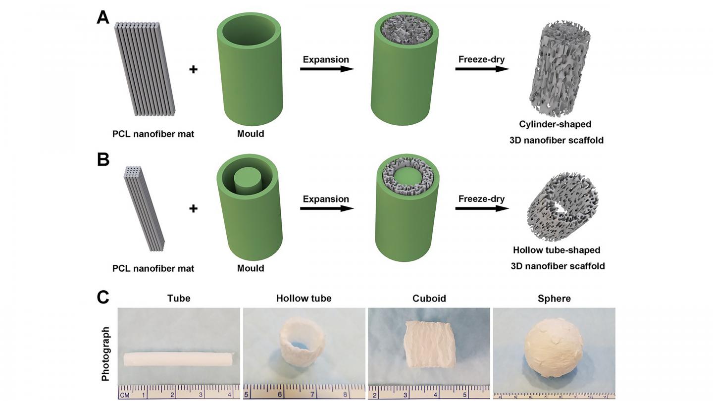 Schematic illustrating the procedure of converting a 2D nanofiber mat into a cylinder-shaped nanofiber scaffold