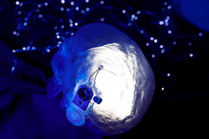 ABILITY: Active Brain Implant Live Information Transfer sYstem