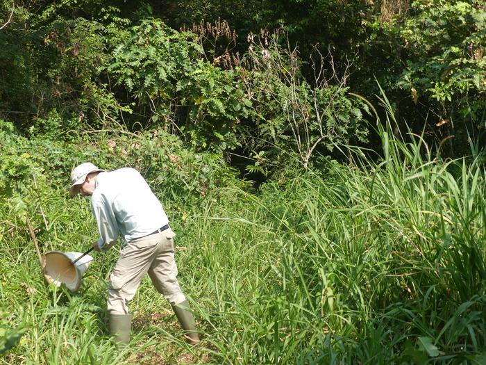 Dr Alvin Helden carrying out fieldwork