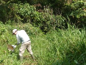 Dr Alvin Helden carrying out fieldwork