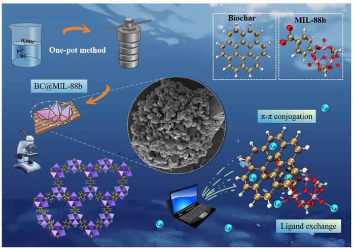 Efficient recovery of rare metal lanthanum from water by MOF-modified biochar: DFT calculation and dynamic adsorption