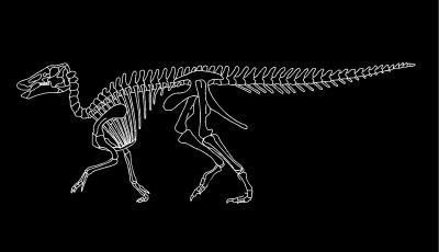 Some Dinos' Teeth Rivaled Mammals' for Plant-Chewing (4 of 5)