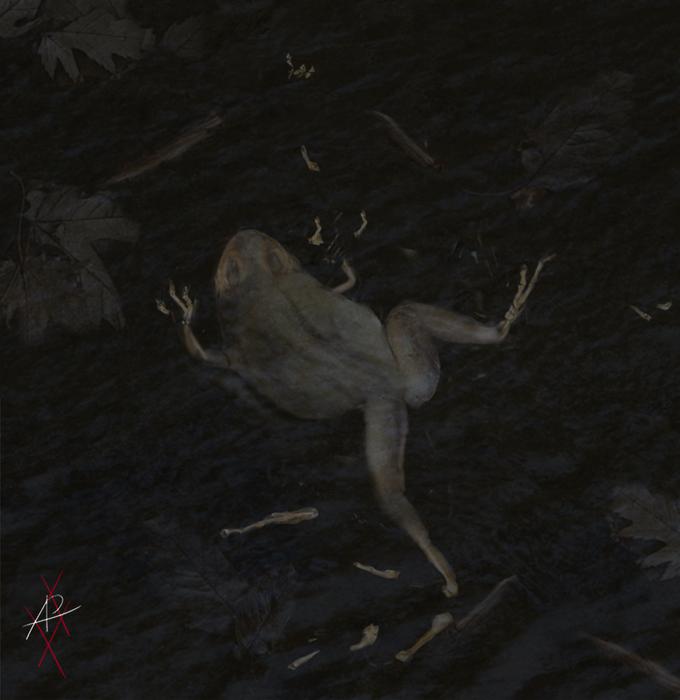 Geiseltal frog