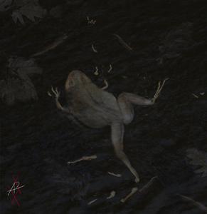 Geiseltal frog