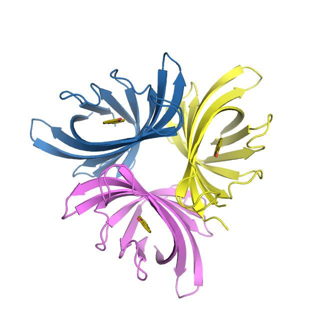 PodA Crystal Structure