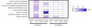 Figure 3 Categorization of differentially expressed genes by white rust inoculation.