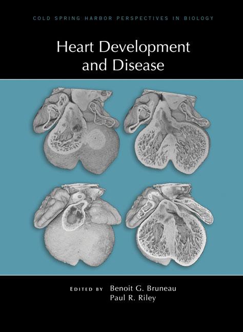 Heart Development and Disease