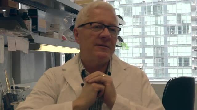 Stem-Cell Researchers Solve Mystery of Relapse in Acute Myeloid Leukemia