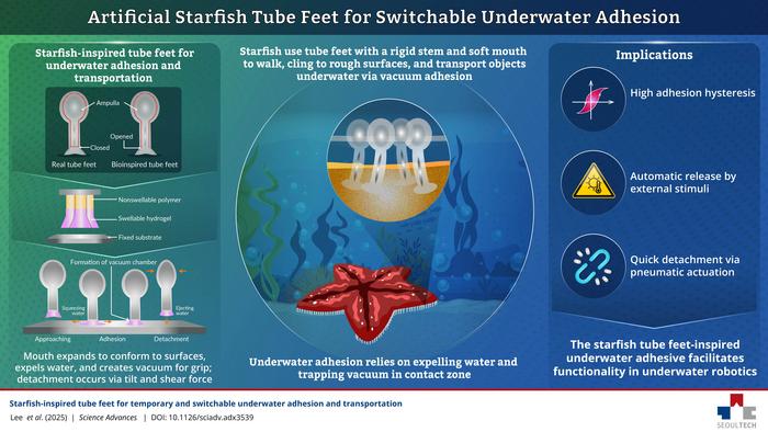 Starfish-¬inspired tube feet for underwater transportation