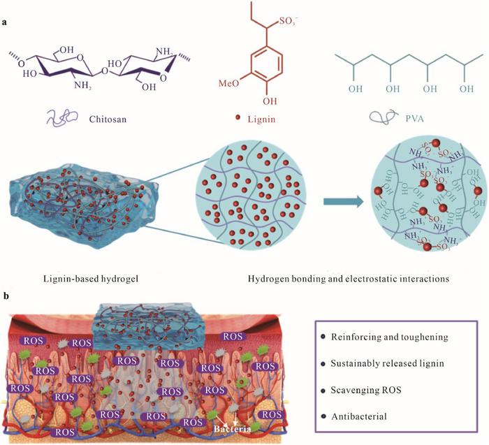 A lignin-based controlled/sustained release hydrogel by integrating mechanical strengthening and bioactivities of lignin