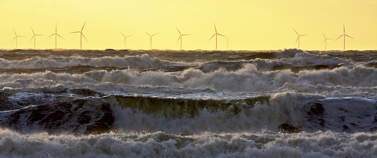 Global Cumulative Capacity of Installed Wind Turbines
