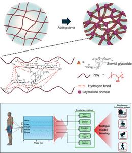 Schematic diagram of the structure and motion recognition system of a stevia-enhanced PVA hydrogel-based wearable sensor