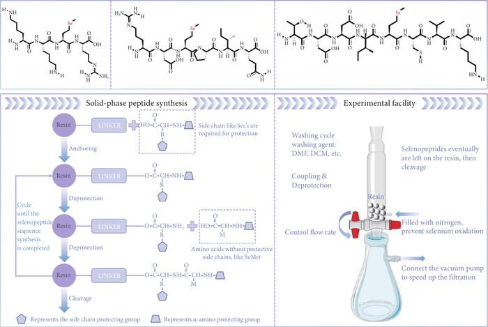 Solid-phase peptide synthesis-based design strategy and experimental facility for selenopeptide synthesis.