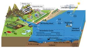 Heavy metals in reservoirs: pollution characteristics, remediation technologies, and future prospects