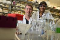 Jeffrey Tabor and Prabha Ramakrishnan
