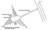 Taxonomic Analysis of a Nasca Drawing