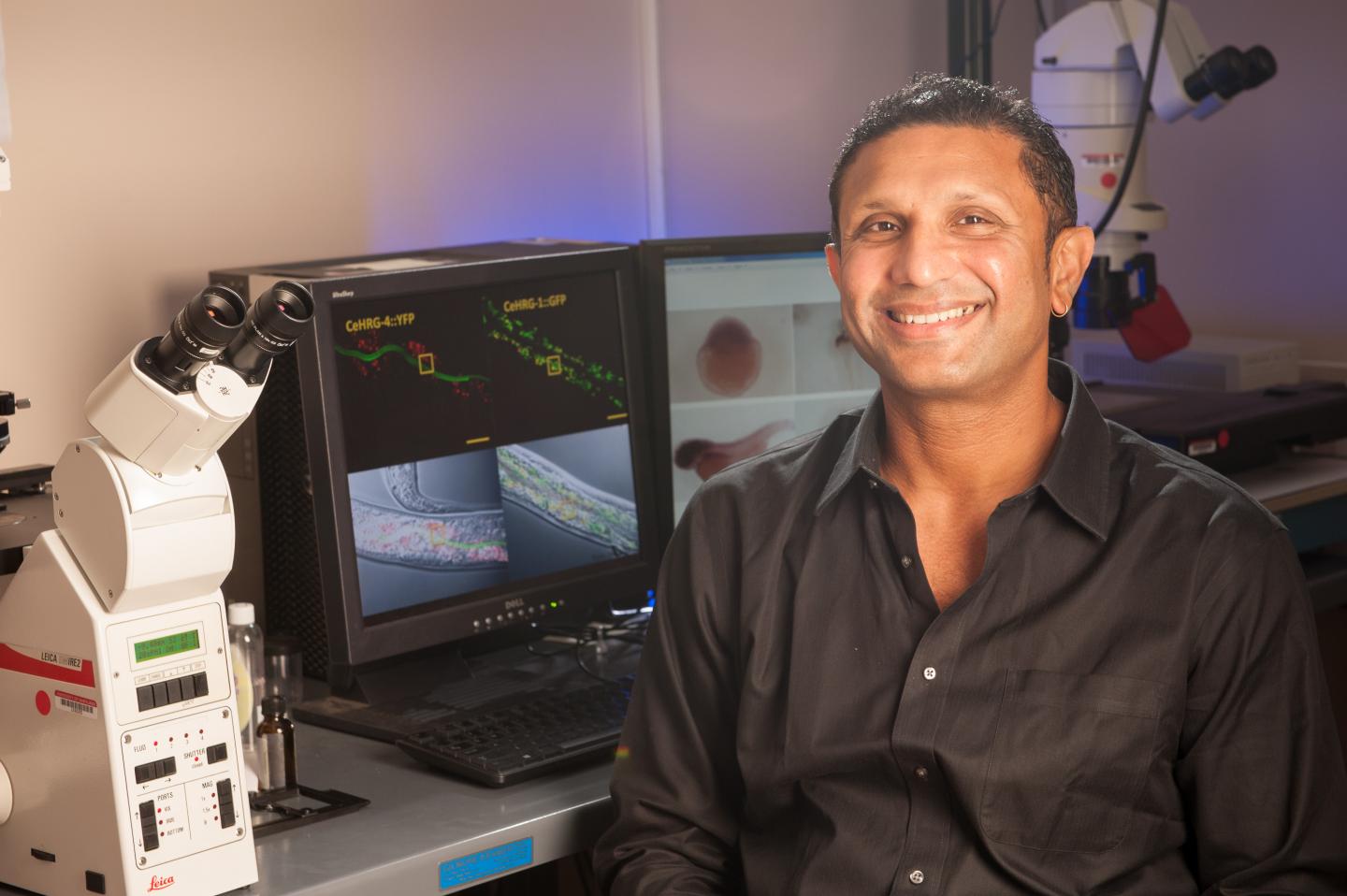 Dr. Iqbal Hamza, University of Maryland