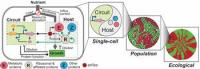 Synthetic Circuits