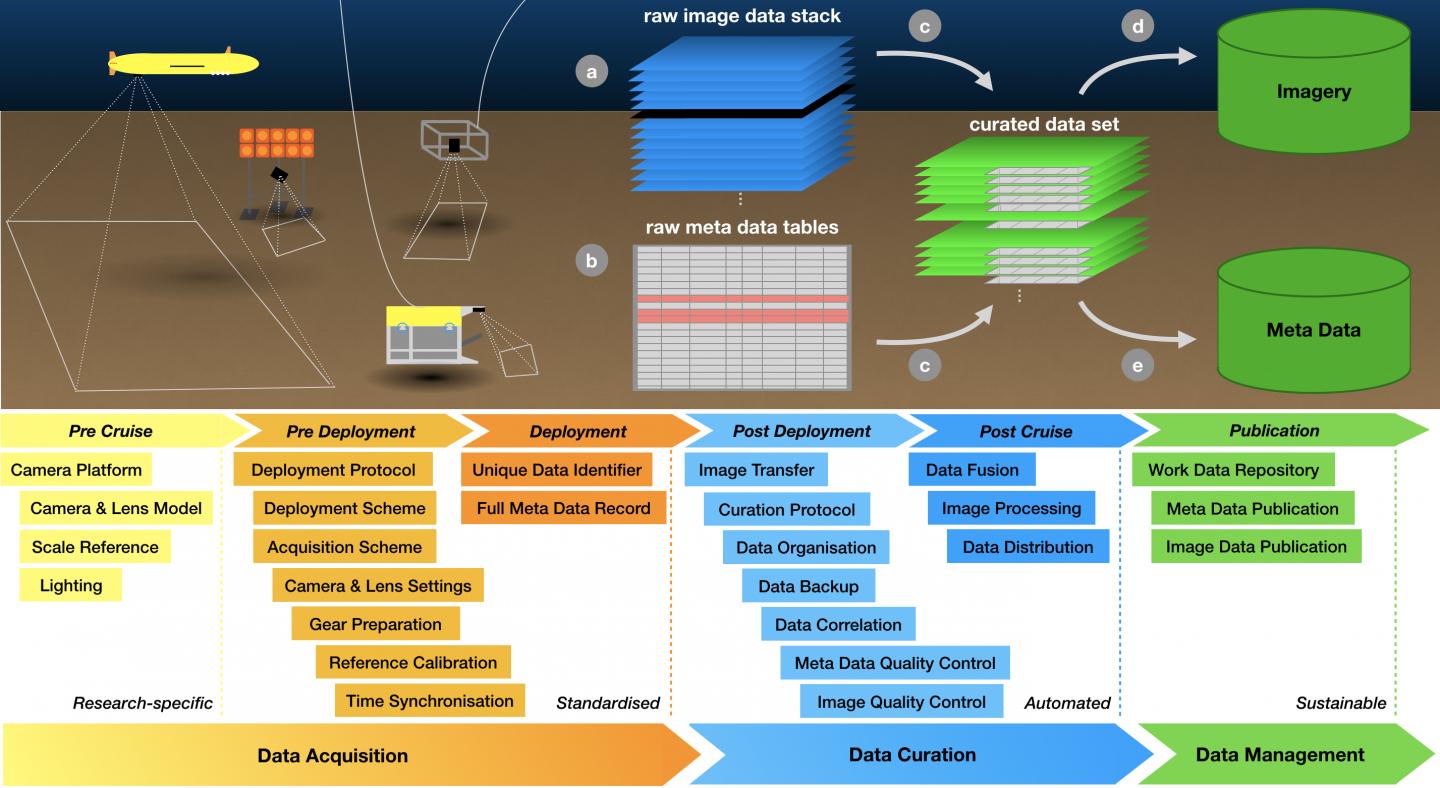 Workflow Analysis of Image Data
