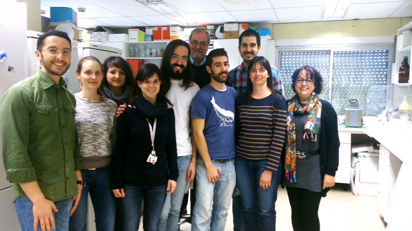 Research Group