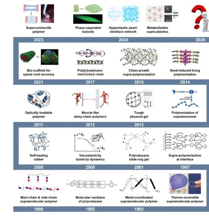 Nine Challenges and Future Opportunities in Supramolecular Polymer Science