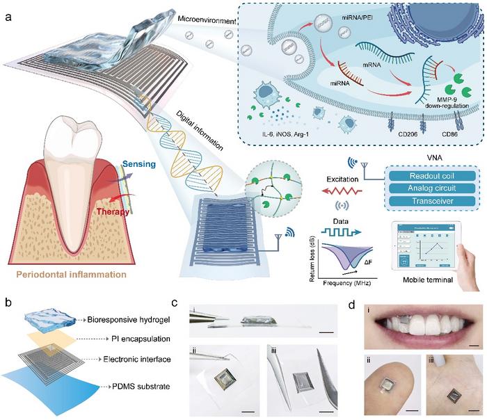 Design of the hydrogel-based wireless inflammation-responsive electronic system (WIRES).