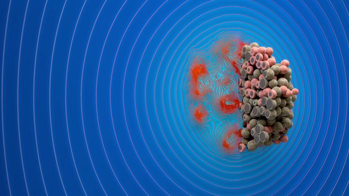 Visualization of a 3D tumor model