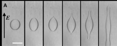 Droplets (1 of 2)