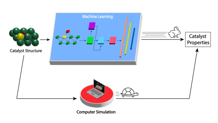 Biomass Conversion Model