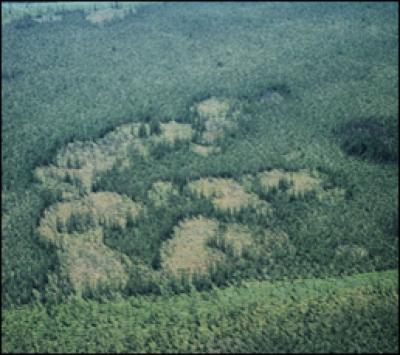 Permafrost Thaw