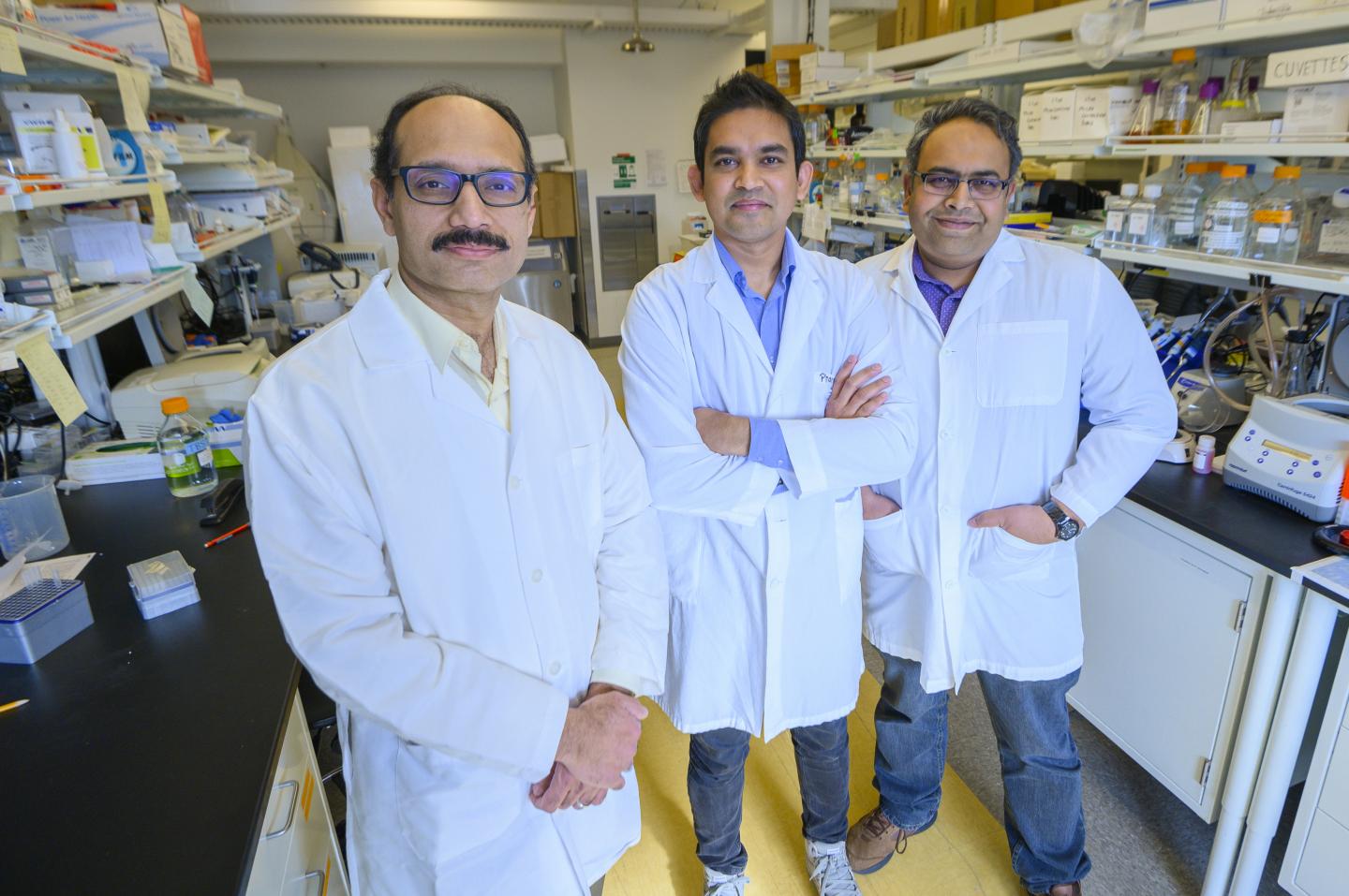 Ahmed Lab Team