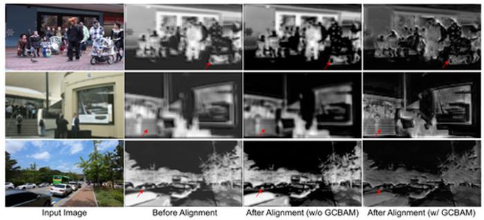 Feature visualisation study before and after alignment by GCBAM.