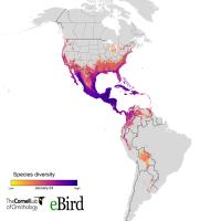 Year-Round Species Variety Animation