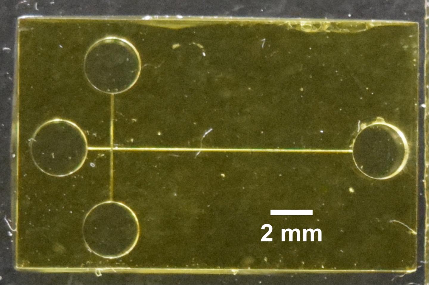 3D-Printed Device Detects Biomarkers of Preterm Birth