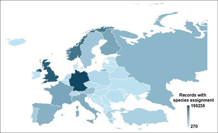 Heat map illustrating the heterogeneity in the number of available DNA barcode records with species assignment.