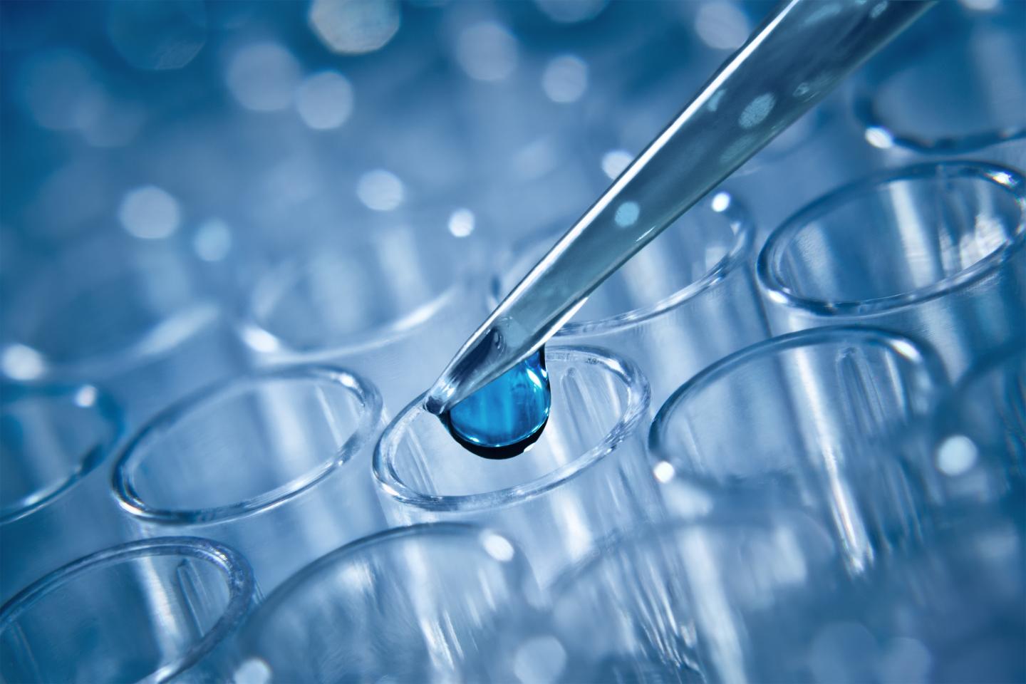 Graphene Flagship Researchers Reviewed the Current Research into the Safety of Graphene