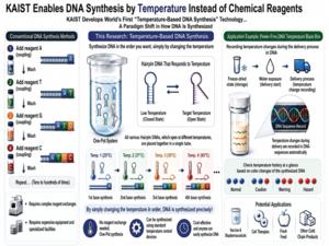 KAIST Enables DNA Synthesis Using Only Temperature Instead of Chemical Reagents