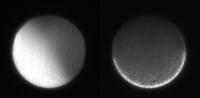 Propogation of calcium ion waves in fertilized Ciona egg