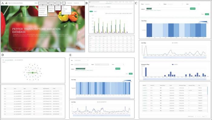 Transcriptomics functions implemented in Transcriptome data of PFTVD 1.0.