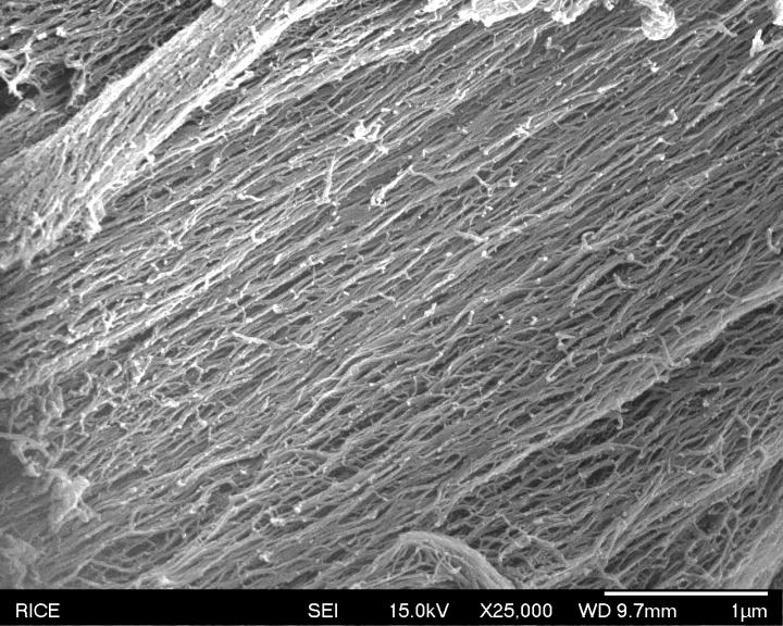 Peptide Nanofibers