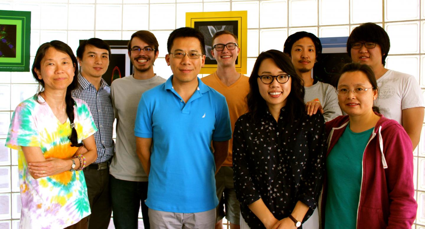 Members of Dr. Yao's Lab