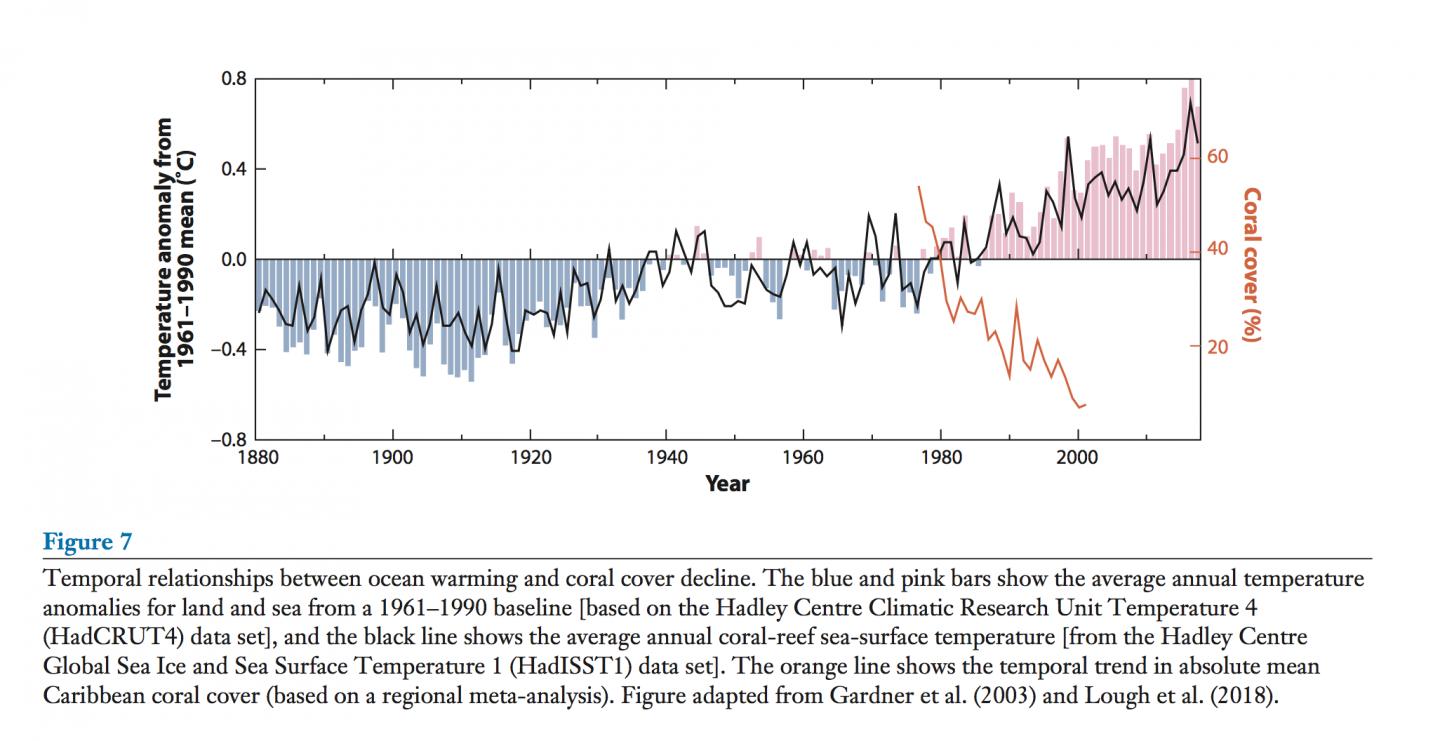 Temporal Relationships