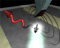 Magnetic Field