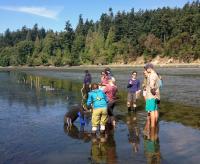 Class Field Work